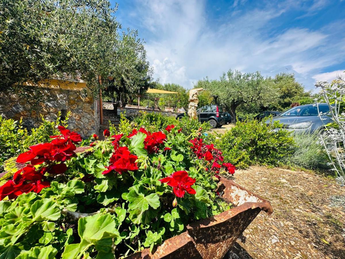 Villetta Starza Marina di Camerota Bagian luar foto
