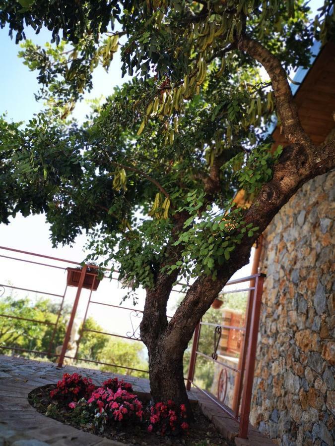 Villetta Starza Marina di Camerota Bagian luar foto